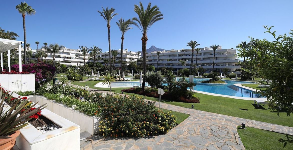 Apartment for Rent in Los Granados Puerto Banus