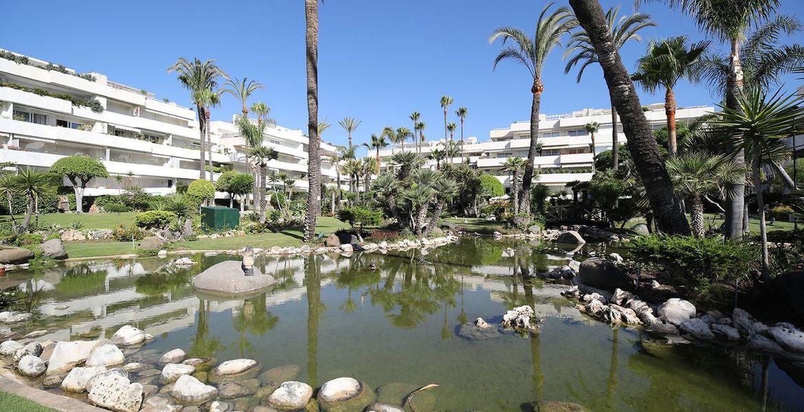 Apartment for Rent in Los Granados Puerto Banus