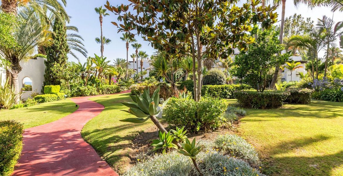 Beach Front Marbella Penthouse